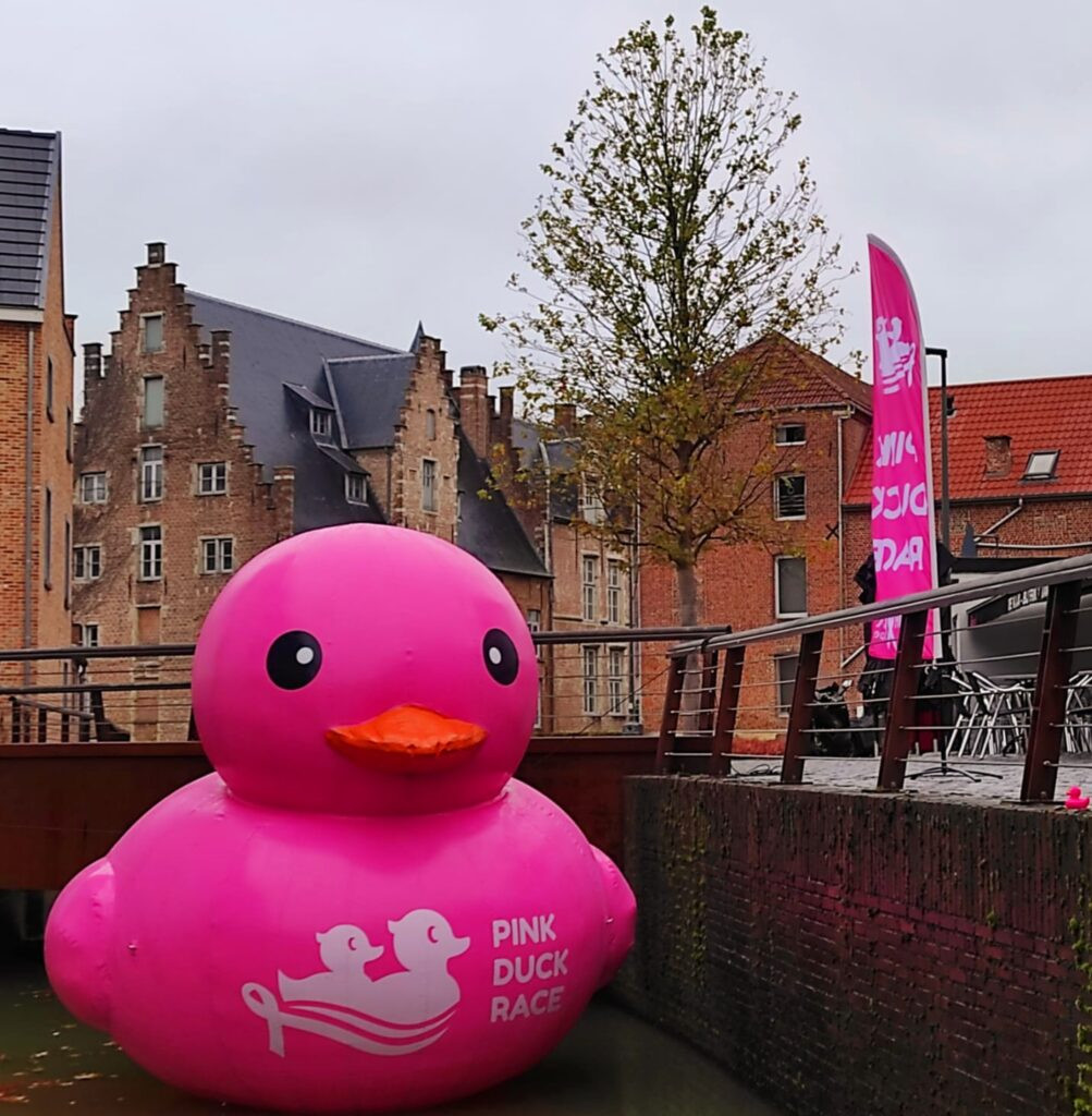 Quack Quack! 🦆💕